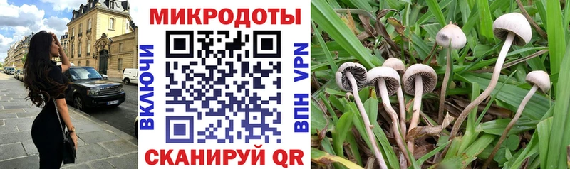 Купить  Грязи  Псилоцибиновые грибы Magic Shrooms 